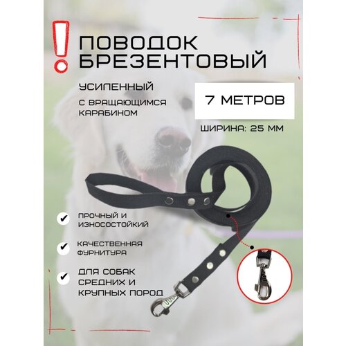 Поводок для собак брезент с ширина 25 мм