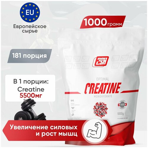 Креатин моногидрат 2SN Creatine Monohydrate 1000г в пакете гейнер креатин 2sn gainer creatine 1000г шоколад