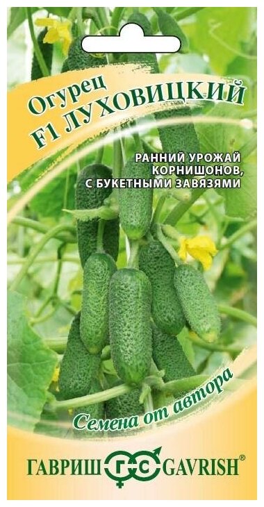 Огурец Луховицкий F1 (10 семян) 2 пакета