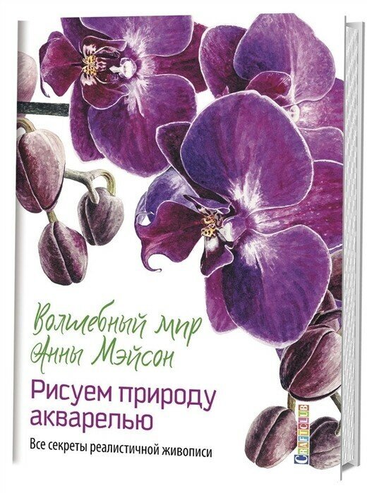 Волшебный мир Анны Мейсон. Рисуем природу. Все секреты реалистичной живописи