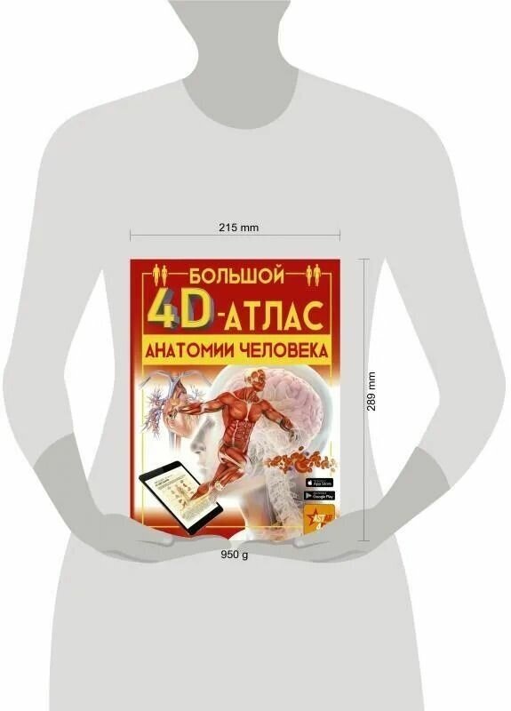 Большой 4D-атлас анатомии человека - фото №9