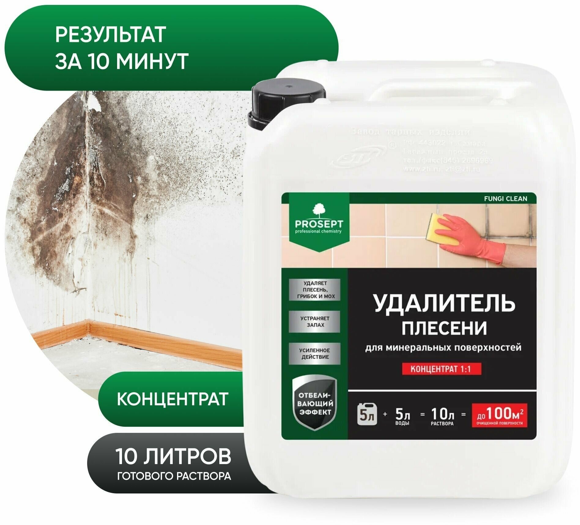 Fungi Clean для удаления плесени PROSEPT