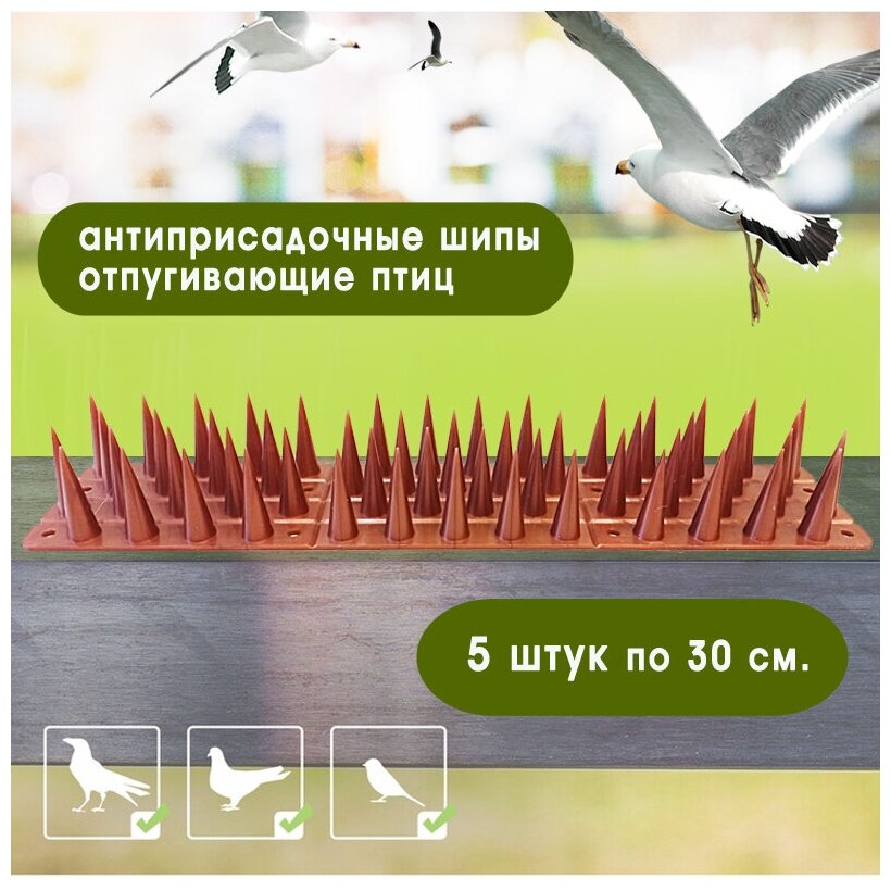 Шипы противоприсадные защита от птиц крыш оград карнизов по 30см шипы 4см (коричневых 5шт)