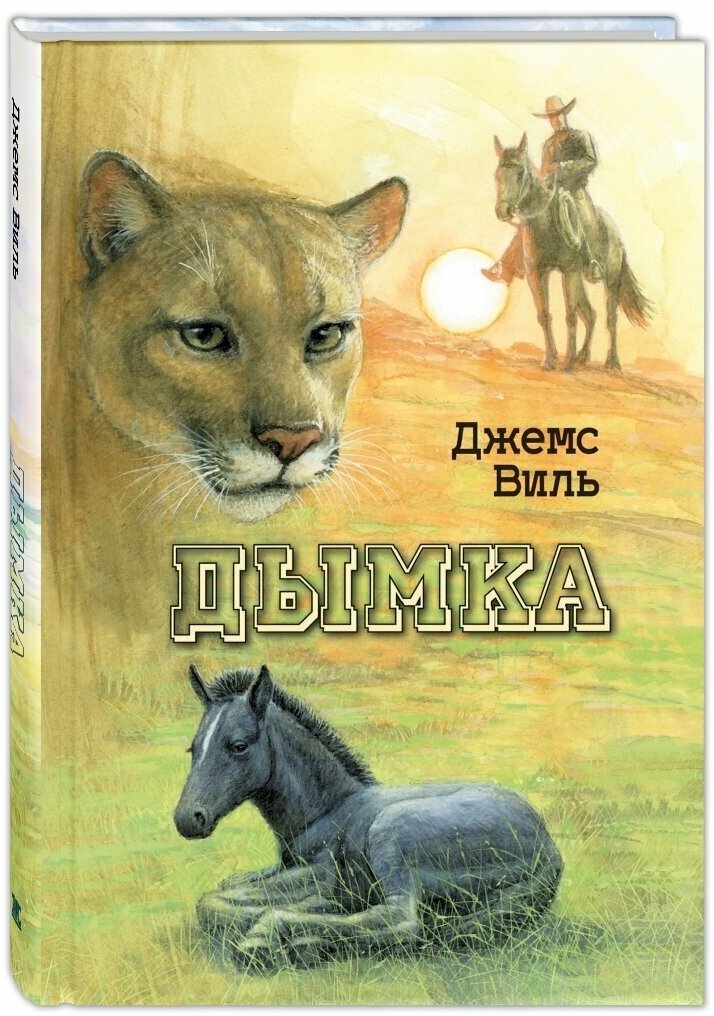 Книга Дымка. Конь ковбоя