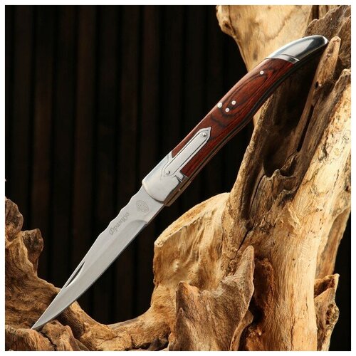 Витязь Нож складной "Француз" сталь - 40х13, рукоять - дерево, 23 см