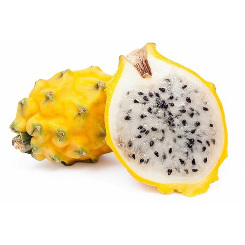 Семена Желтая Питайя (питахайя, драгонфрут, драконий фрукт) 10 шт.