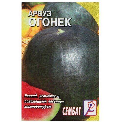 арбуз огонек 1 гр б п Семена Арбуз Огонек, 1 г 22 упаковки