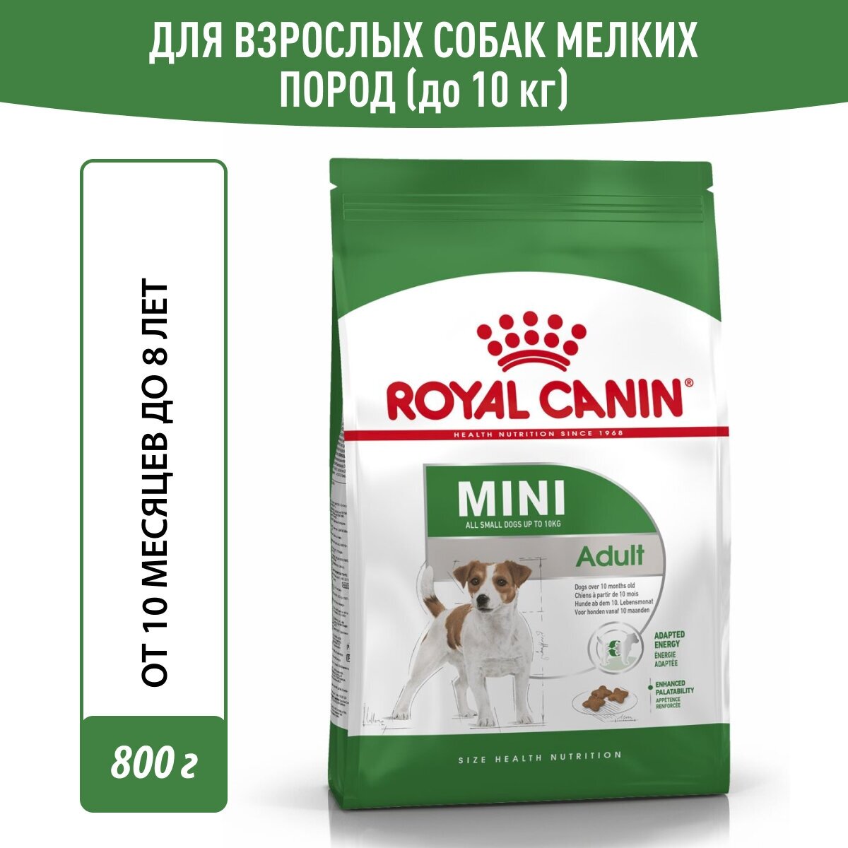 Сухой корм Royal Canin Mini Adult для собак мелких пород от 10 месяцев до 8 лет, 0,8 кг