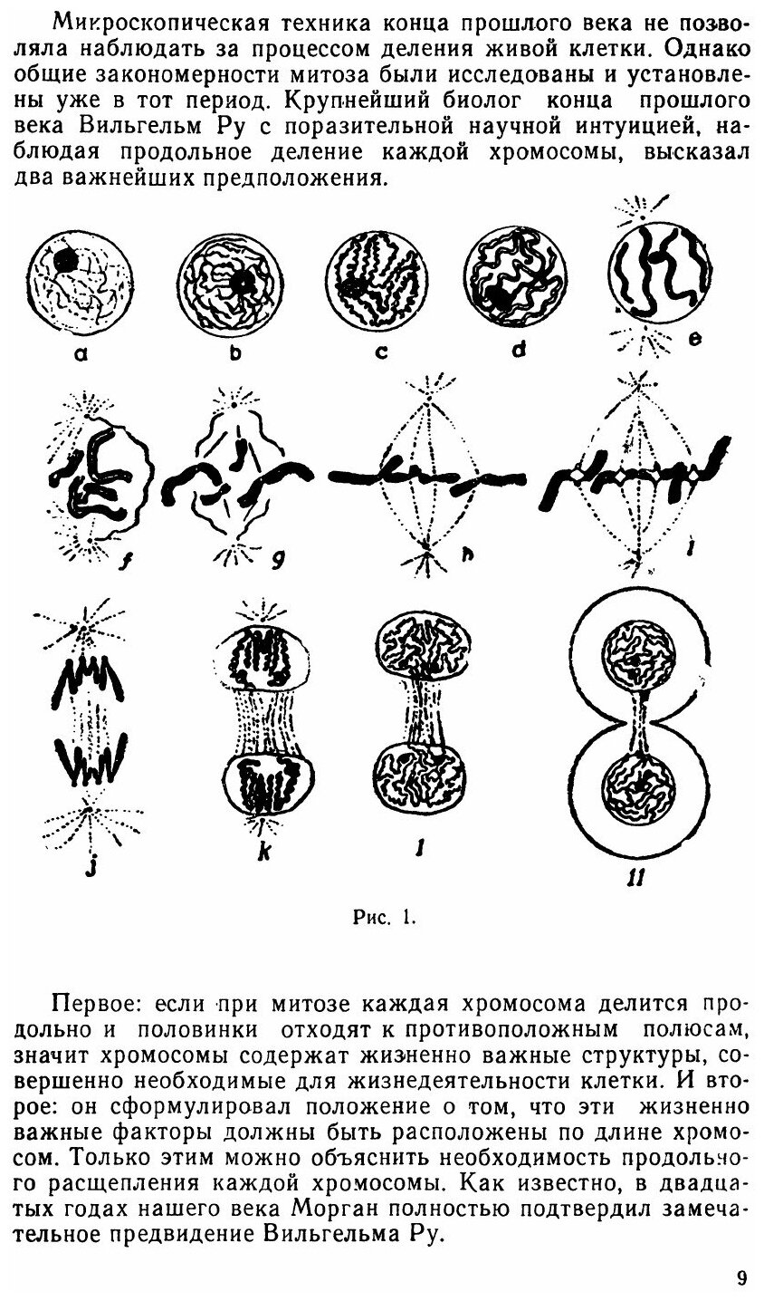 Книга Проблемы молекулярной биологии - фото №6