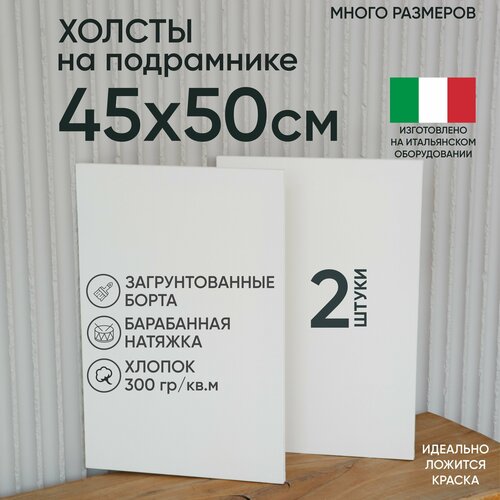 Холст на подрамнике, 2 шт, размер 45 х 50 см, Артель художников, хлопок 300 г/м2, грунтованный