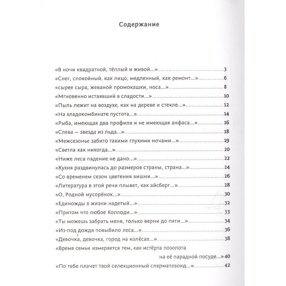 Кот, лошадь, трамвай, медведь (Сальников Алексей Борисович, Маноцкова Юлия (иллюстратор)) - фото №2