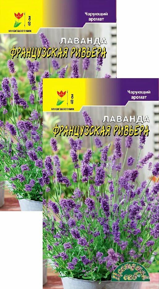 Лаванда Французская Ривьера (01 г) 2 пакета