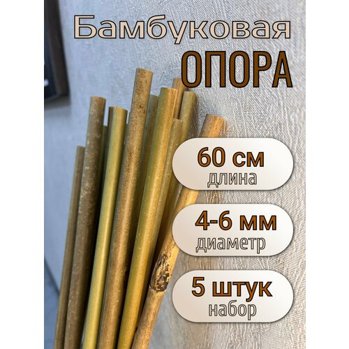 Опора бамбуковая для растений и цветов 60 см, 4/6 мм, 5шт. Садовые колышки.