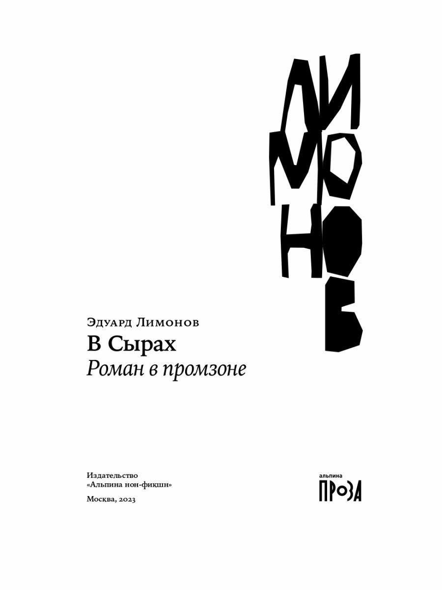 В Сырах: Роман в промзоне (Лимонов Эдуард Вениаминович) - фото №19
