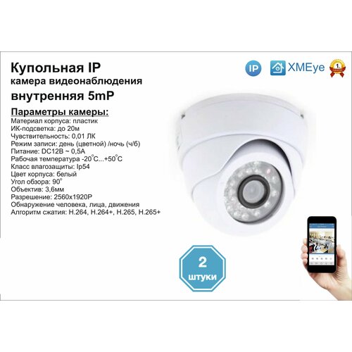 (2шт) DVW300IP5MP. Внутренняя IP камера 5мП с ИК до 20м.