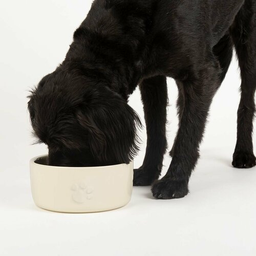 Миска керамическая для собак SCRUFFS "Icon Dog Food", кремовая, 25х25х10см, 3500мл (Великобритания)