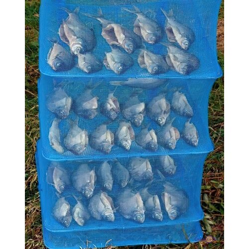 Подвесная Сетка Сушилка 454590 большая 5 поддонов усиленный каркас для овощей и рыбы 229000₽