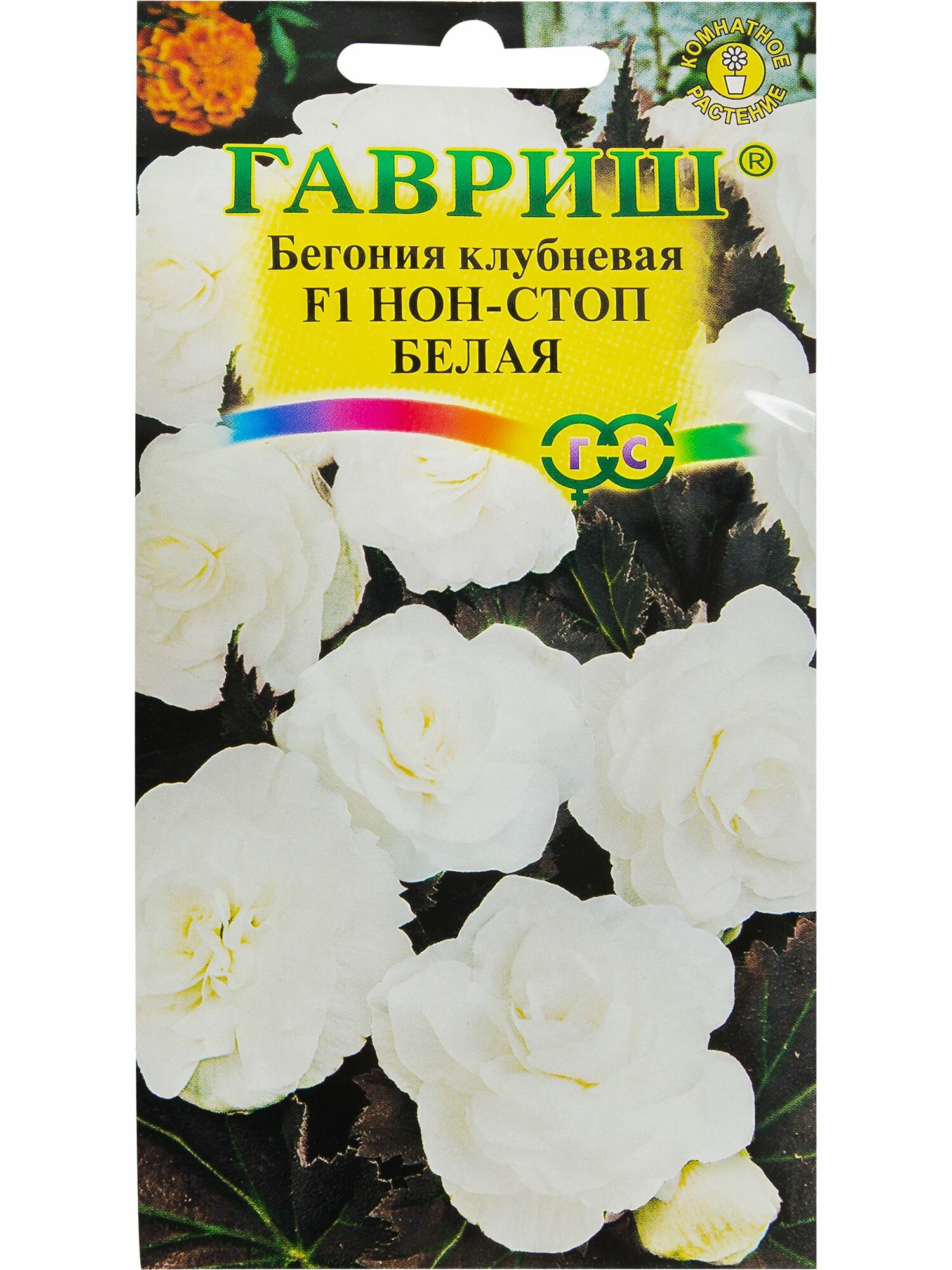 Бегония гранулированная Нон-стоп белая F1 4 шт.