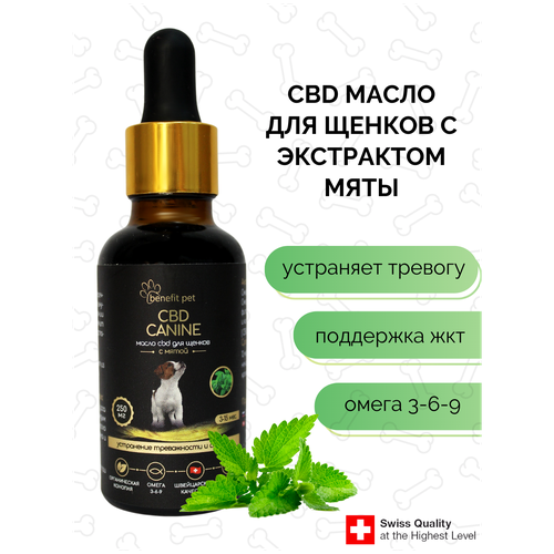 Масло cbd конопляное для щенят с мятой 30 мл