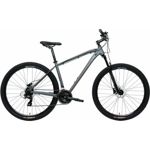WELT Raven 10 HD 29 2023 anthracite 22 4869000₽