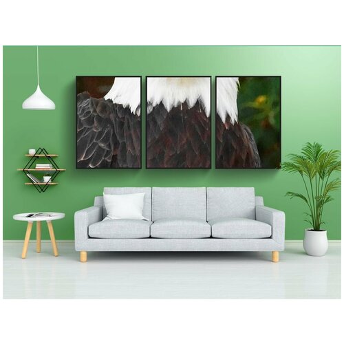 фото Набор модулных постеров для интерьера "белоголовый орлан, птица, орел" 60x90 см. в тубусе, без рамки lotsprints