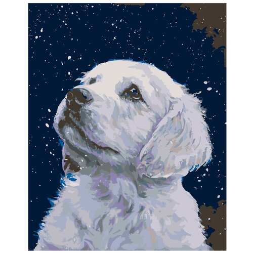 Ночное небо Раскраска по номерам на холсте Живопись по номерам картина по номерам живопись по номерам 40 x 50 arth ah142 снежный пес животное белый пес ночь звезды