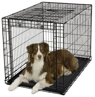 MidWest Клетка для собак Ovation с торцевой вертикально-откидной дверью,черный,95*59*64см - фото №7