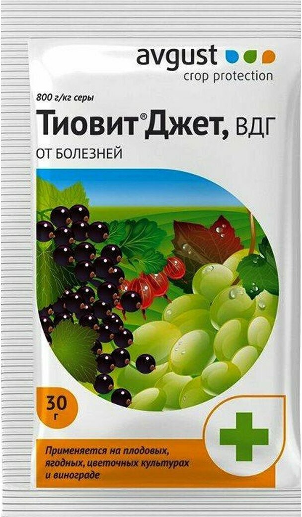 Средство защиты от насекомых август Тиовит, Джет против клещей на винограде, 30г