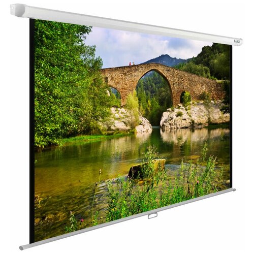 Экран настенно-потолочный рулонный 220x165см Cactus WallExpert CS-PSWE-220X165-WT, 4:3 белый
