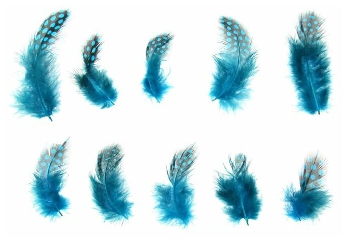 Набор перьев для декора 10 шт размер 1 шт: 5 x 2 см цвет бирюзовый с чёрным