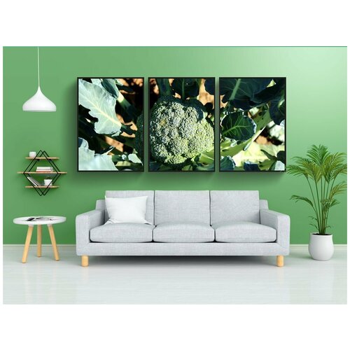 фото Набор модулных постеров для интерьера "брокколи, цветная капуста, овощ" 60x90 см. в тубусе, без рамки lotsprints