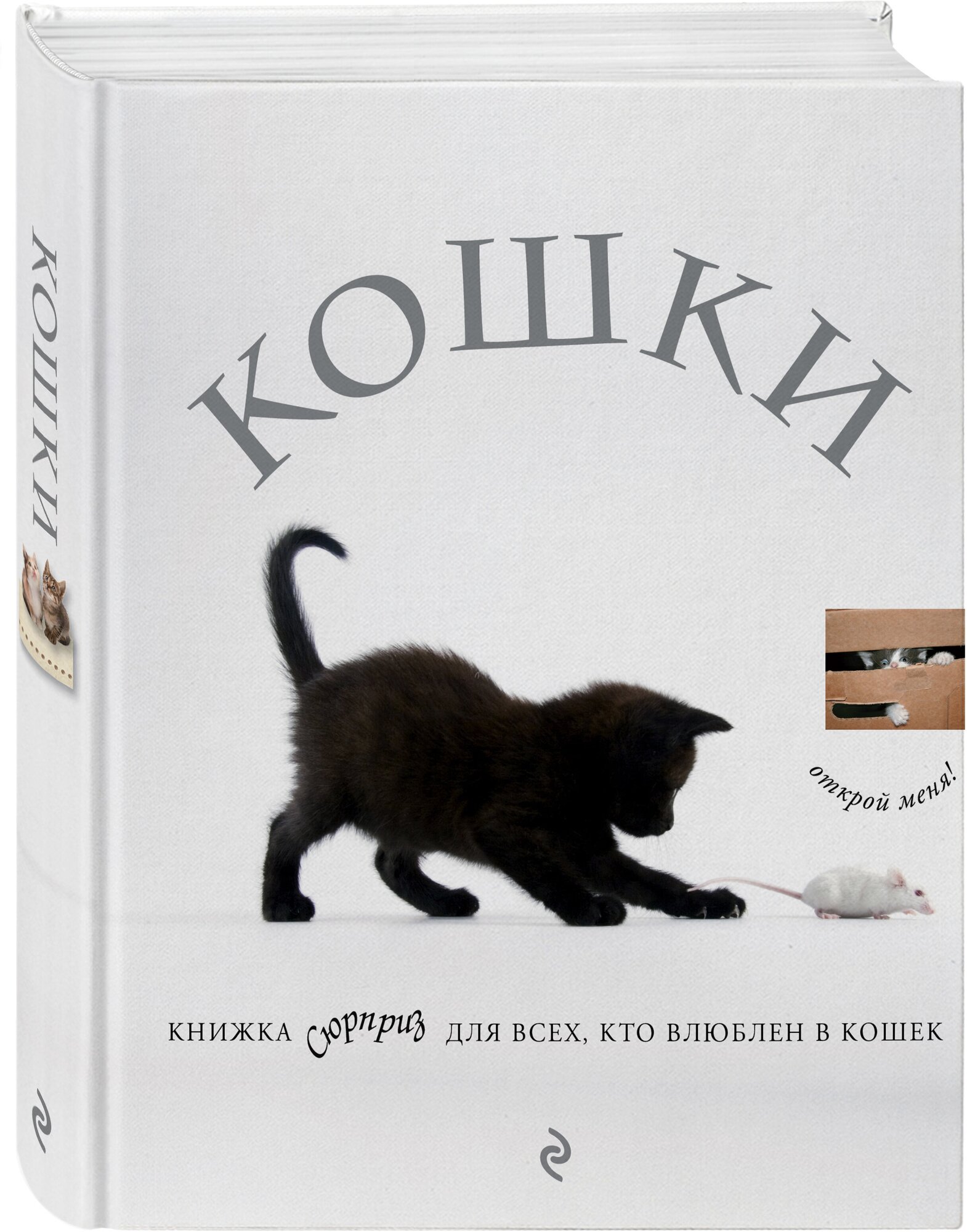 Кошки. Книжка-сюрприз для всех, кто влюблен в кошек - фото №1