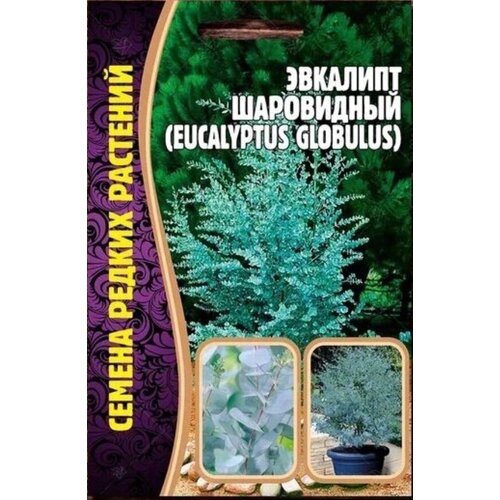 Семена Эвкалипта Шаровидный (Eucalyptus Globulus) (10 семян)