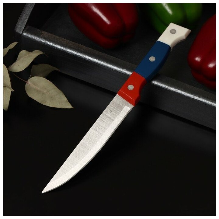 Нож кухонный Доляна Триколор, лезвие 14,5 см, пластик, коррозионностойкая сталь