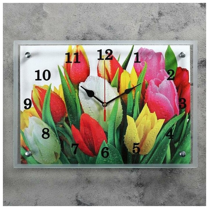Сюжет Часы настенные, серия: Цветы, "Разноцветные тюльпаны", 25х35 см, микс