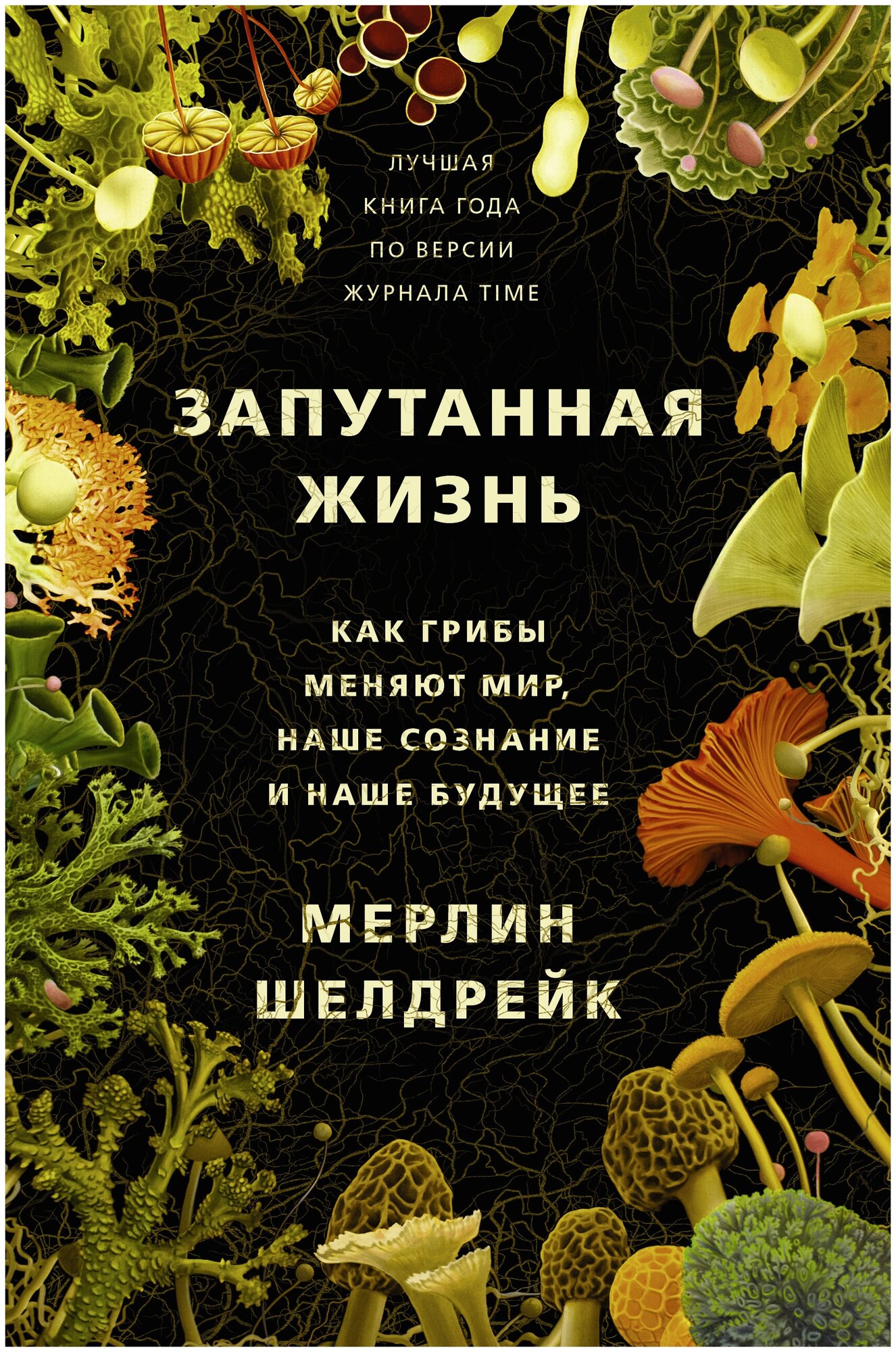 Запутанная жизнь. Как грибы меняют мир, наше сознание и наше будущее Шелдрейк М,