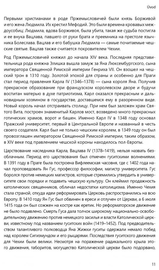 Чешский язык. Базовый курс (Князькова Виктория Сергеевна, Матурова Маркета, Сергиенко Олеся Сергеевна) - фото №8