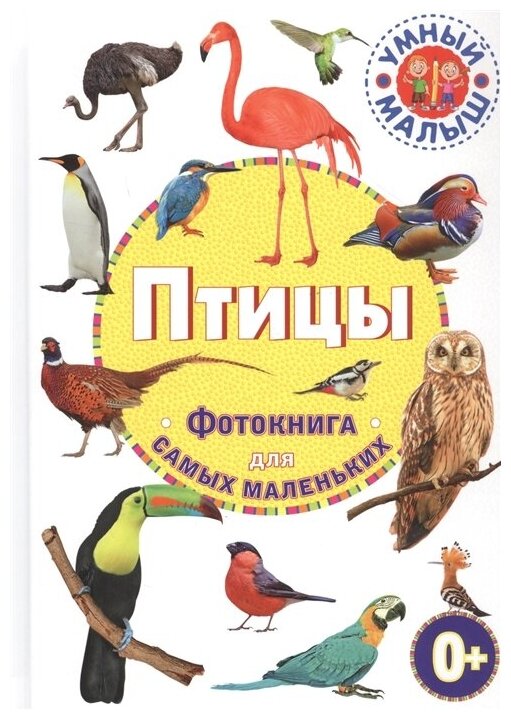 Птицы Фотокнига для самых маленьких Энциклопедия Феданова Ю 0+