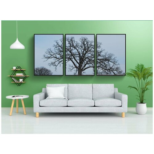 фото Набор модулных постеров для интерьера "дуб, зима, снег" 60x90 см. в тубусе, без рамки lotsprints