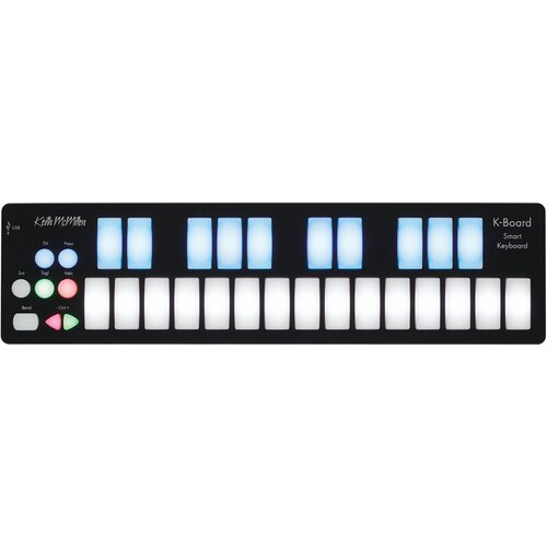 Клавишный контроллер Keith McMillen K-Board K-716 keith mcmillen сша keyboard controller keith mcmillen k board k 716 25 key usb midi keyboard controller with gesture control