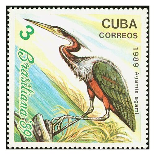 (1989-049) Марка Куба Цапля Птицы III Θ 1974 065 марка куба бескрылая гагарка ископаемые птицы ii θ