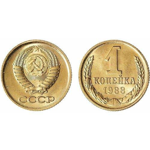 (1988) Монета СССР 1988 год 1 копейка Медь-Никель UNC