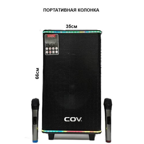 Беспроводная портативная акустическая система CV-272 1459900₽