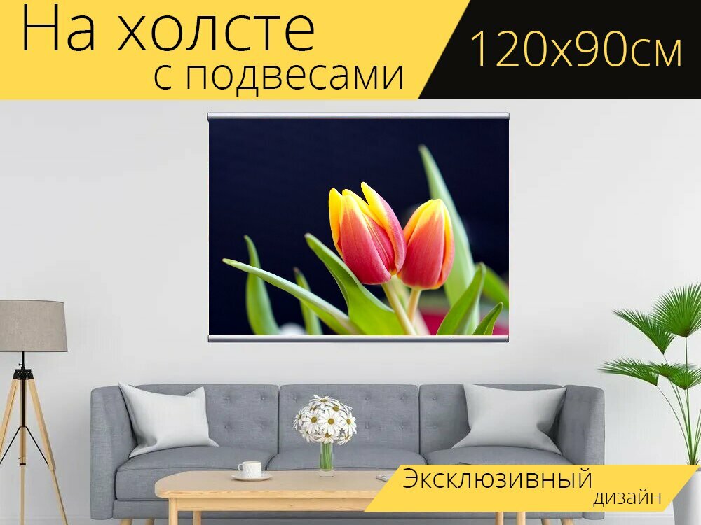 Картина на холсте "Тюльпаны, цвести, цветок" с подвесами 120х90 см. для интерьера