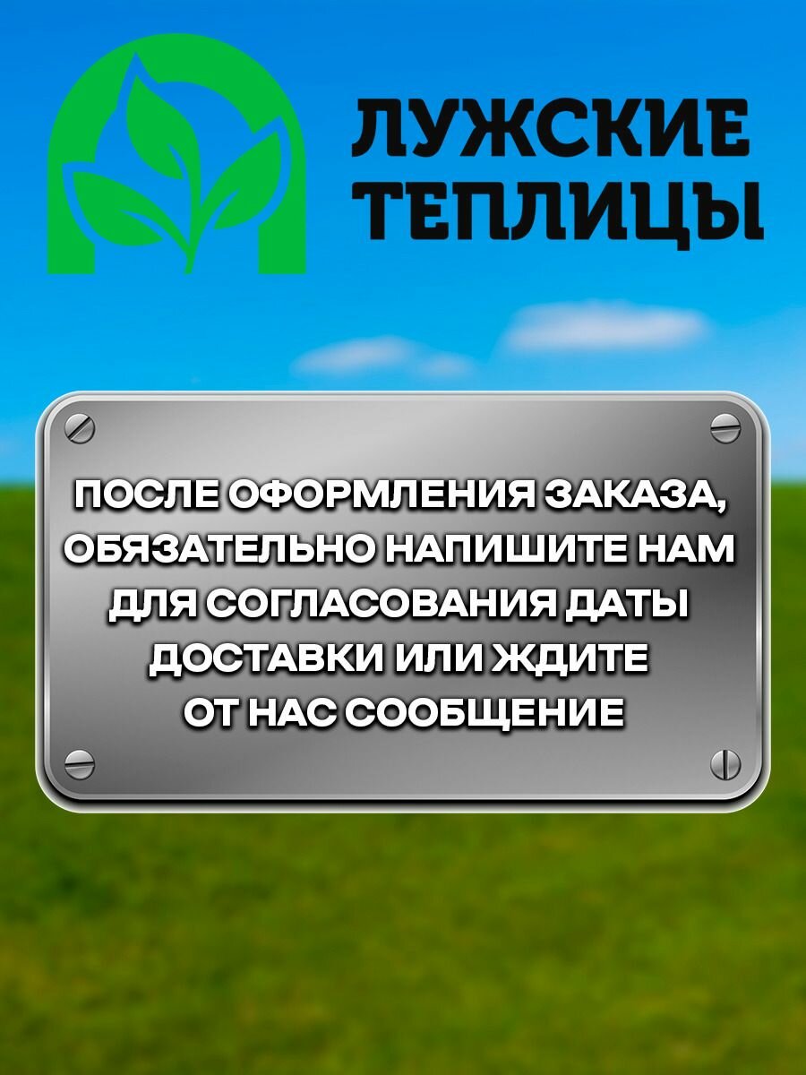 Теплица Ленинградская 3х8 метра, шаг дуги 1 метр, каркас из профильной трубы 20х20 мм, поликарбонат с УФ защитой — фото 1