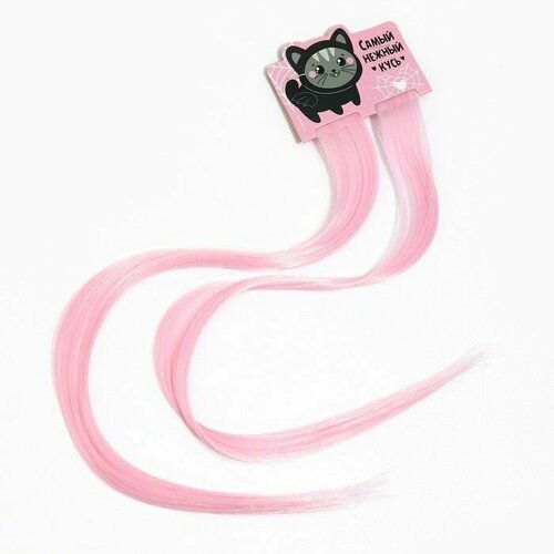 Цветные пряди для волос 2 шт Нежный кусь 9 х 116 см нежно-розовый 595₽