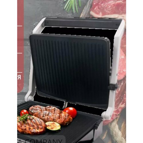 Тестовый образец- электрический гриль Картинка 629900₽