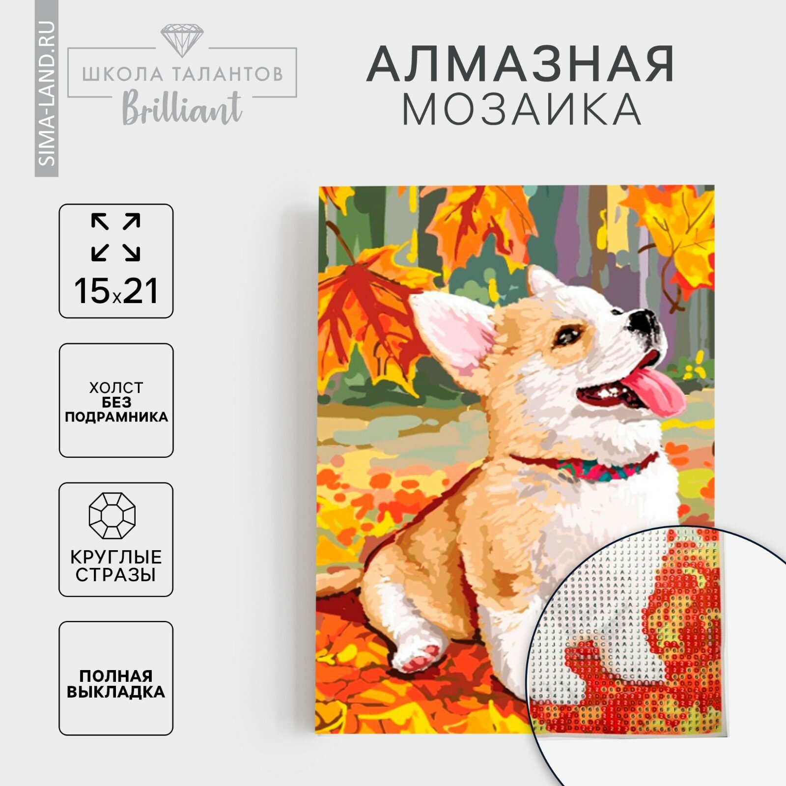 Алмазная вышивка с полным заполнением 