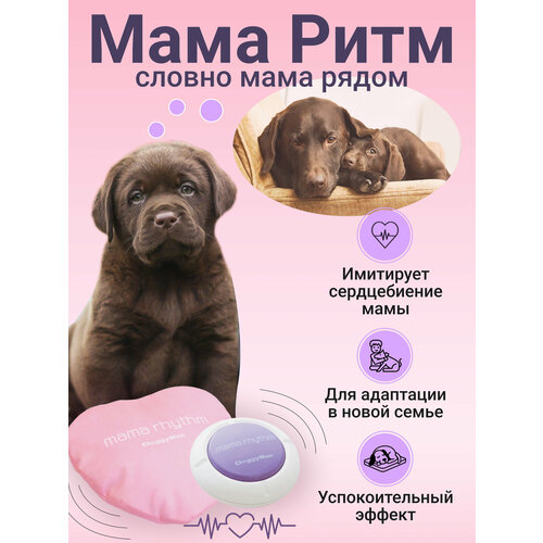 Подушка антистресс Japan Premium Pet для тревожных щенковкотят разлученных с мамой Мама Ритм 568₽