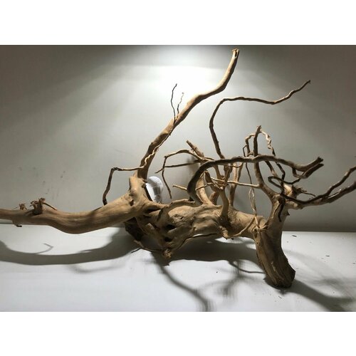 Декорация природная PRIME Коряга сакура М 30-60 см 3900₽